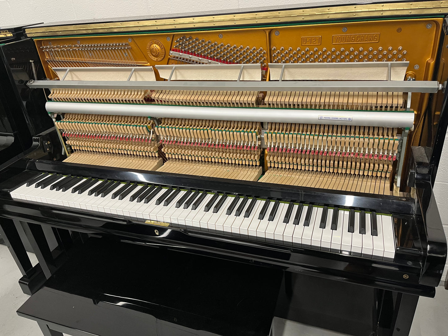 Young Chang U121 Upright