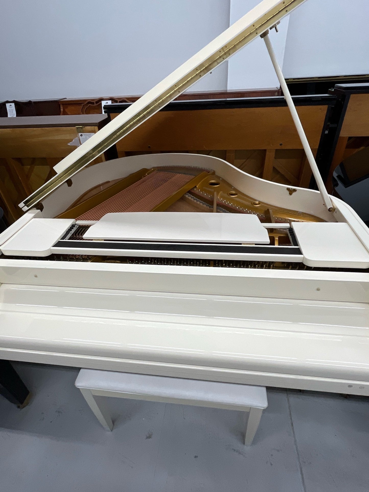 Samick SG140A Petite Grand Piano