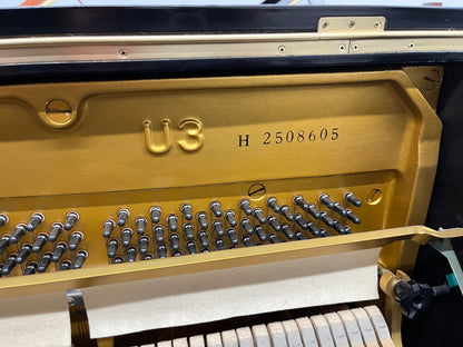 Yamaha U3 Professional Upright